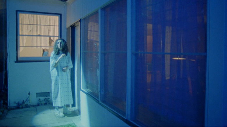 кадр из фильма Pomegranate