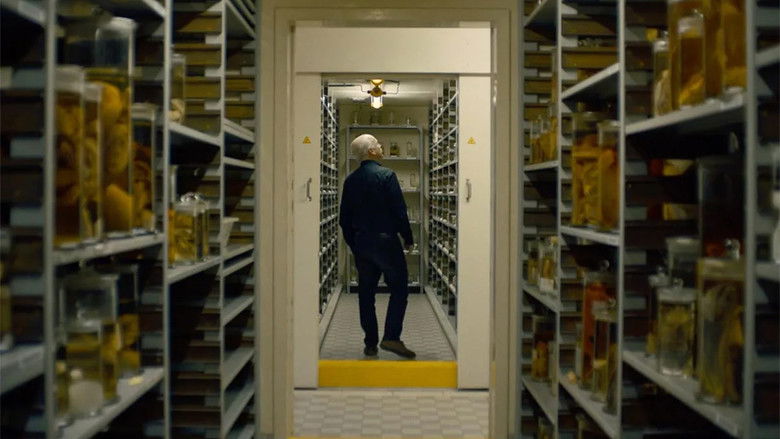 кадр из фильма Queerying Nature