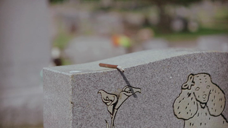 кадр из фильма Лебединая песнь