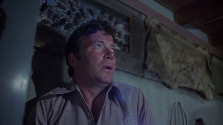 кадр из фильма Царство пауков