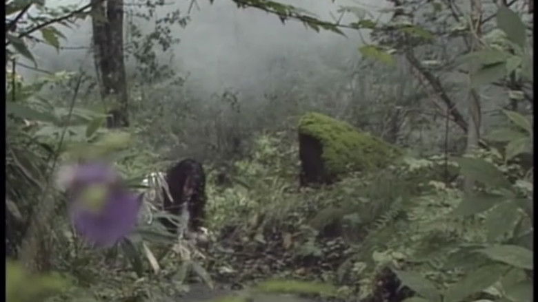 кадр из фильма 監禁逃亡　美しき獲物たち