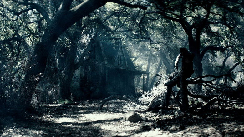 кадр из фильма Вуаль