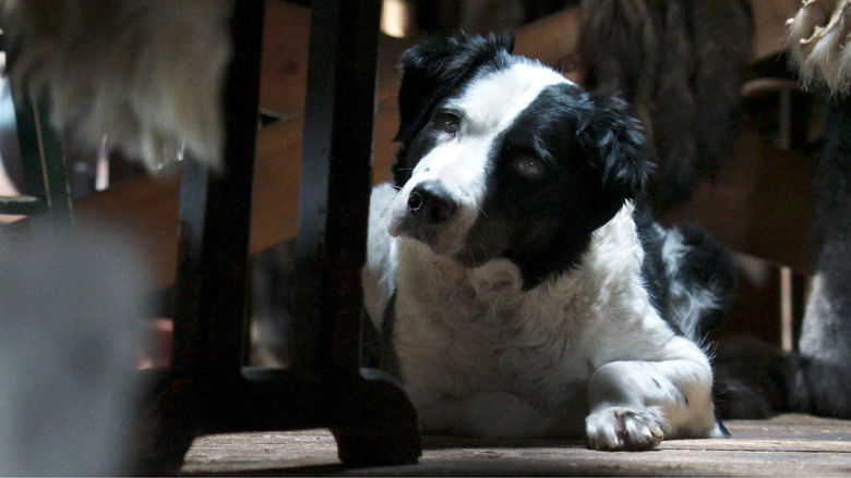 кадр из фильма Кина и Юк: Пушистые приключения