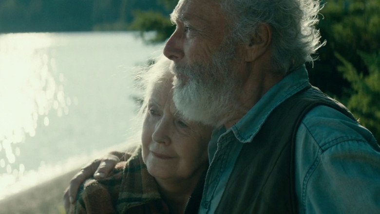 кадр из фильма Птицы падали дождем