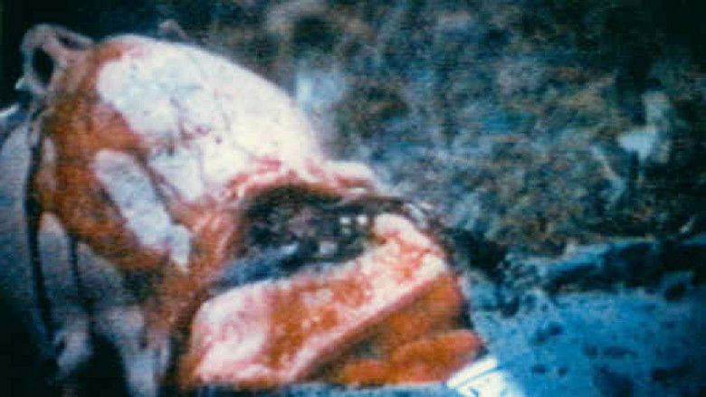 кадр из фильма Dementia