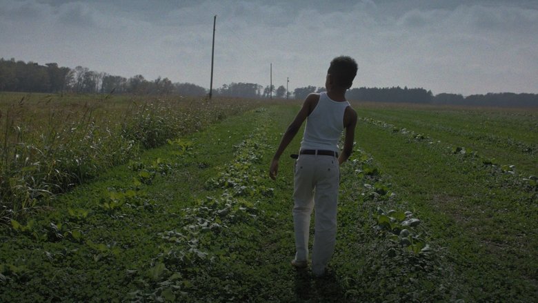 кадр из фильма Burning Cane