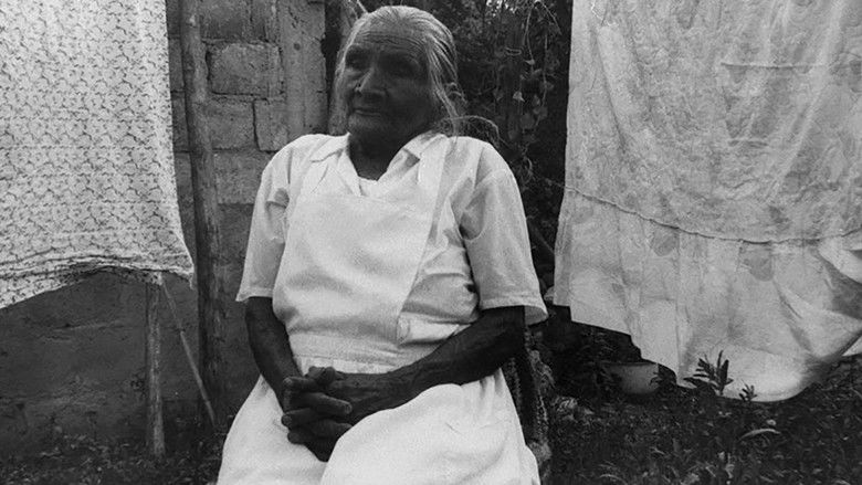 кадр из фильма Los Zapatos de Zapata