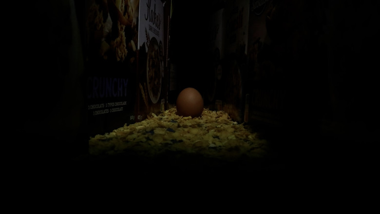 кадр из фильма 28 Eggs Later