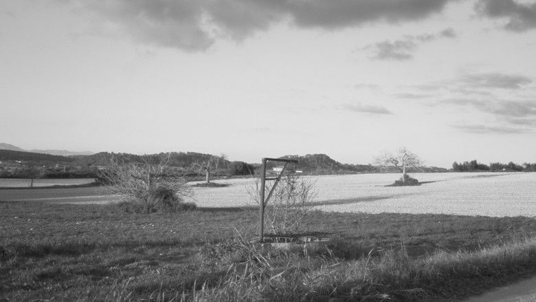 кадр из фильма Estimada Sa Bastida