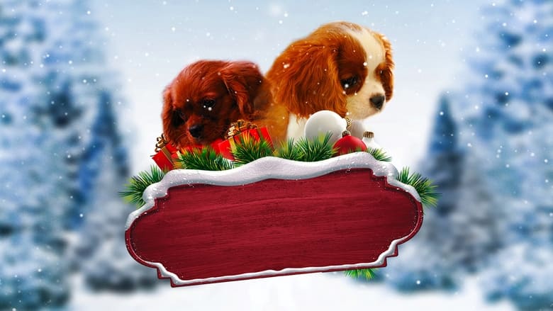 кадр из фильма Project: Puppies for Christmas