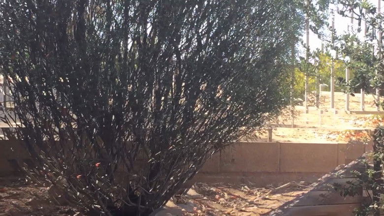 кадр из фильма All Those Things