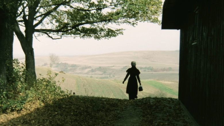 кадр из фильма Подарок на именины