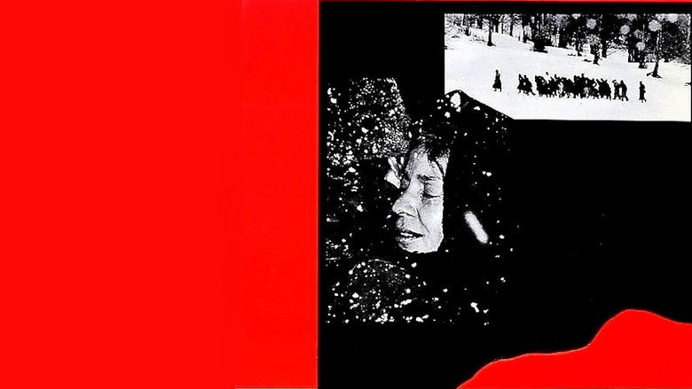 кадр из фильма E cominciò il viaggio nella vertigine