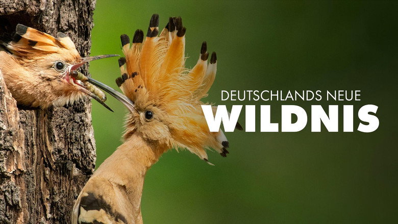 кадр из фильма Deutschlands neue Wildnis