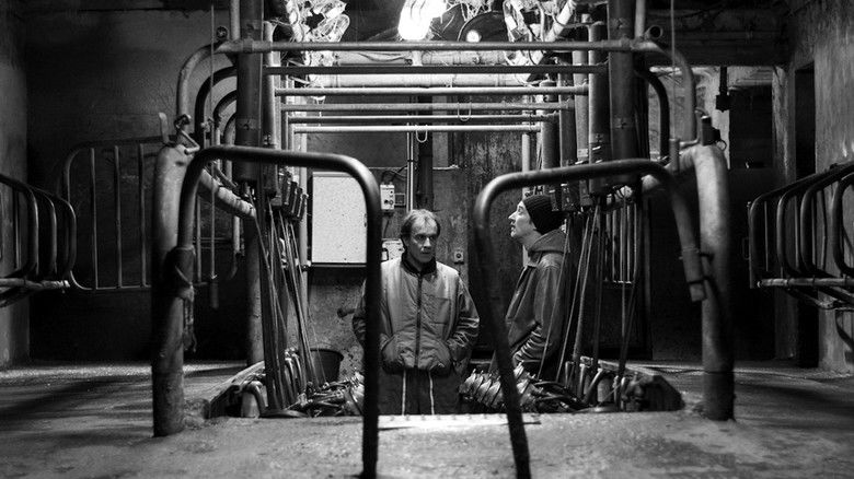 кадр из фильма La danse des accrochés