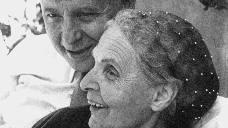 кадр из фильма Elsa la rose