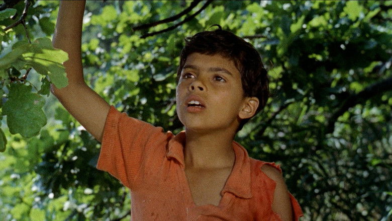 кадр из фильма Пау