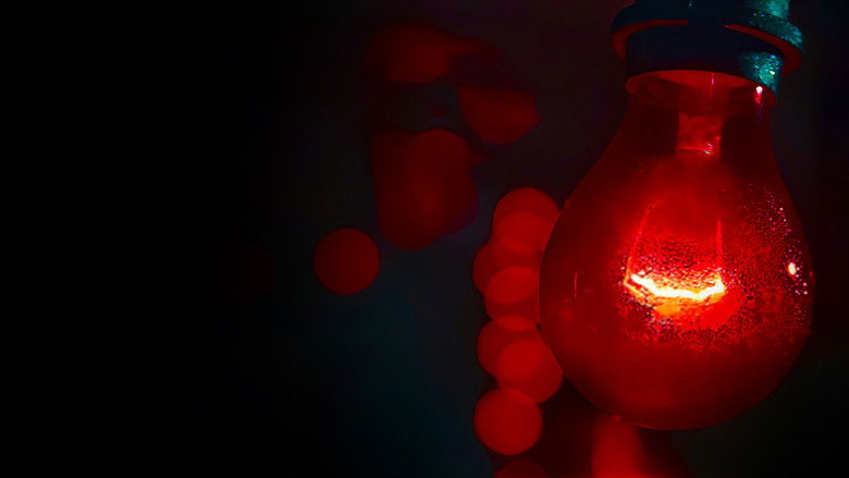 кадр из фильма Тихое место