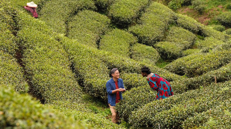 кадр из фильма Чёрный чай