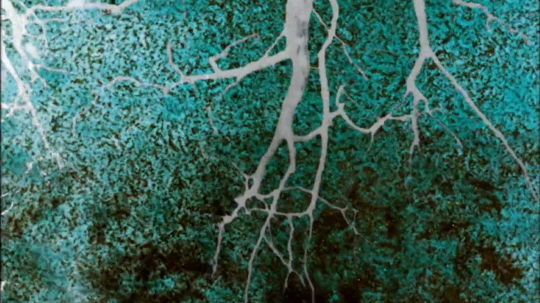 кадр из фильма When It Was Blue