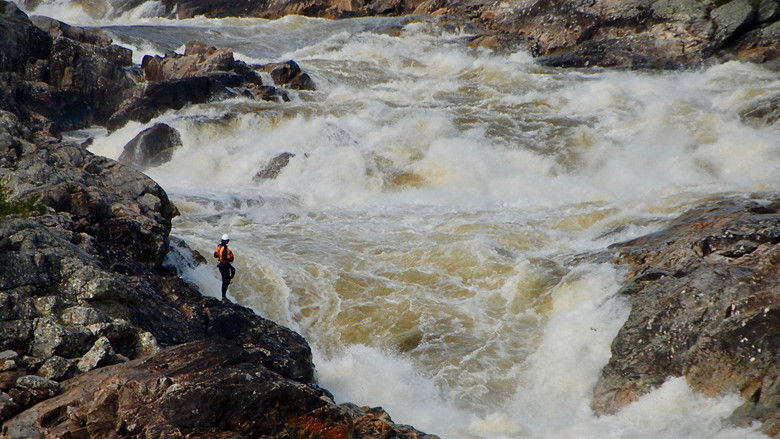 кадр из фильма Je suis Magpie