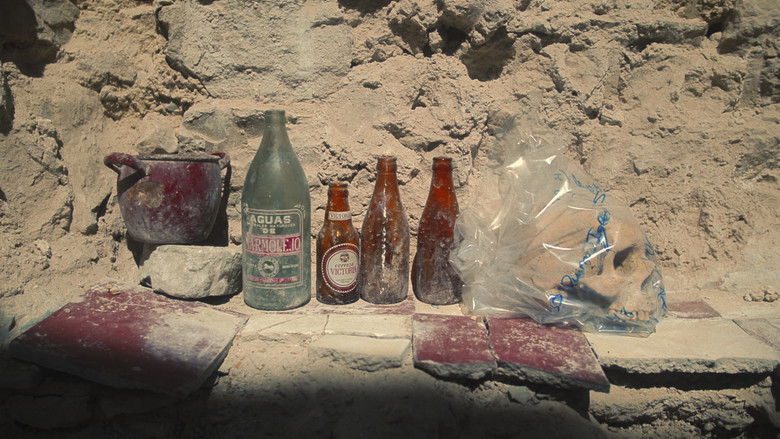 кадр из фильма Desenterrar un rosal