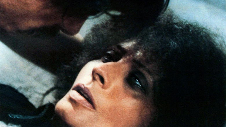 кадр из фильма Кровавая стычка между двумя мужчинами из-за вдовы – подозреваются политические мотивы