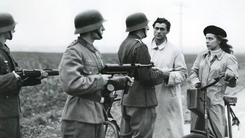 Красные луга