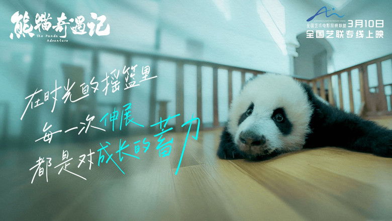 кадр из фильма 熊猫奇遇记