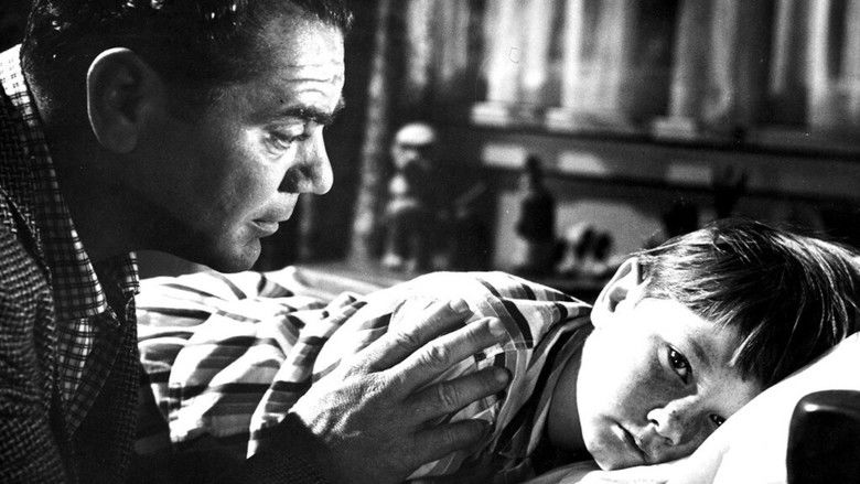 кадр из фильма The Rabbit Trap