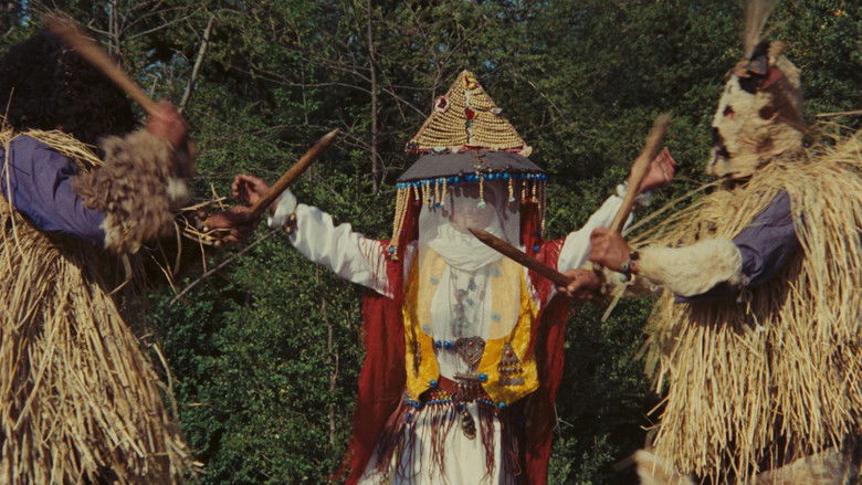 кадр из фильма Незнакомец и туман