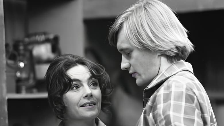 кадр из фильма Pozwolenie na odstrzał