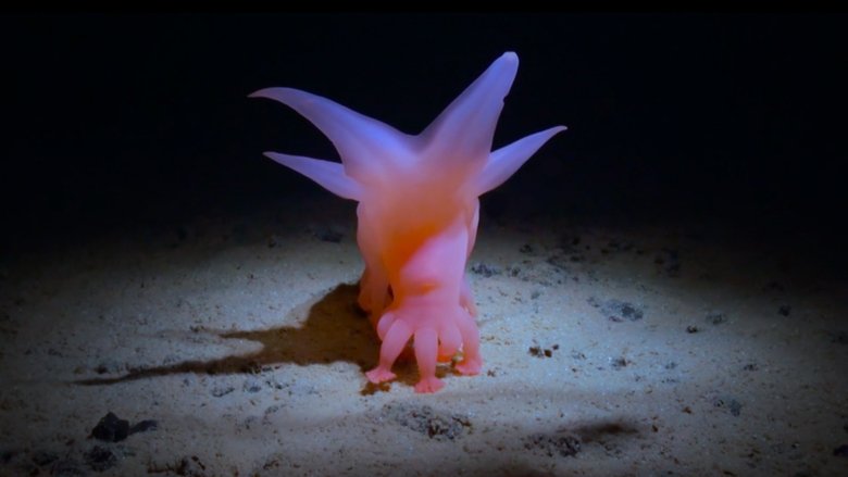 кадр из фильма How Deep Is Your Love