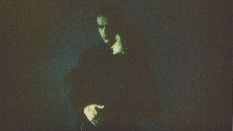 кадр из фильма Kalyi - Zeit der finsternis