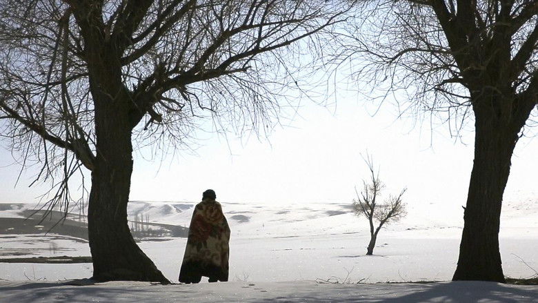 кадр из фильма Habibullah