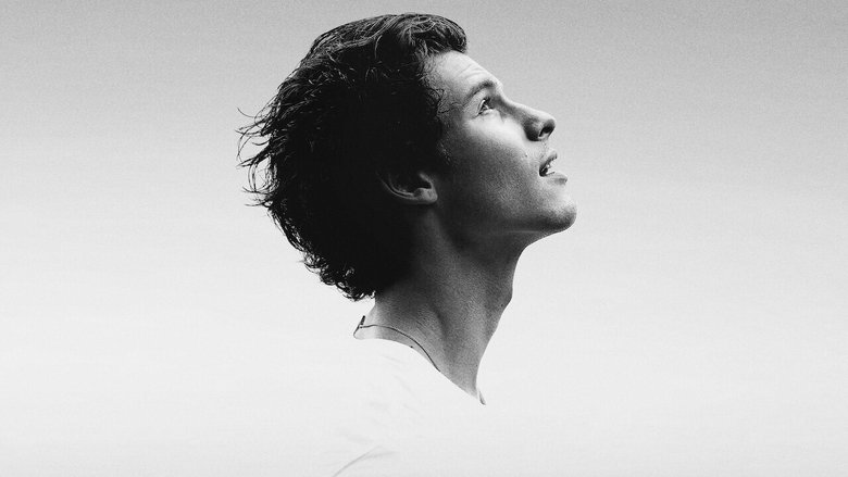 Шон Мендес: In Wonder