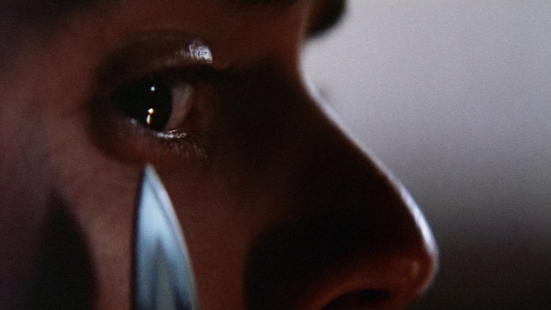 кадр из фильма Попутчик