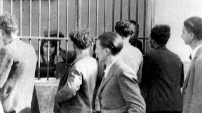 кадр из фильма Κοινωνική σαπίλα