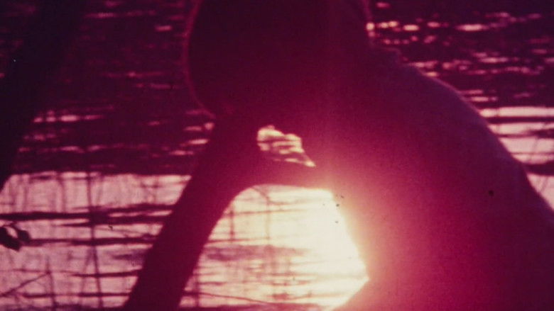 кадр из фильма Isolation