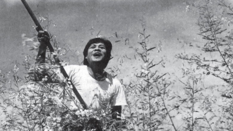 кадр из фильма Cánh đồng hoang