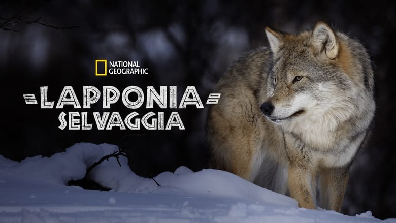 кадр из фильма Wild Lapland