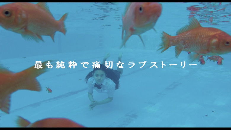 кадр из фильма トイレのピエタ