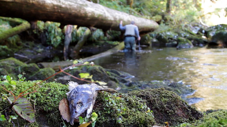 кадр из фильма Guardian