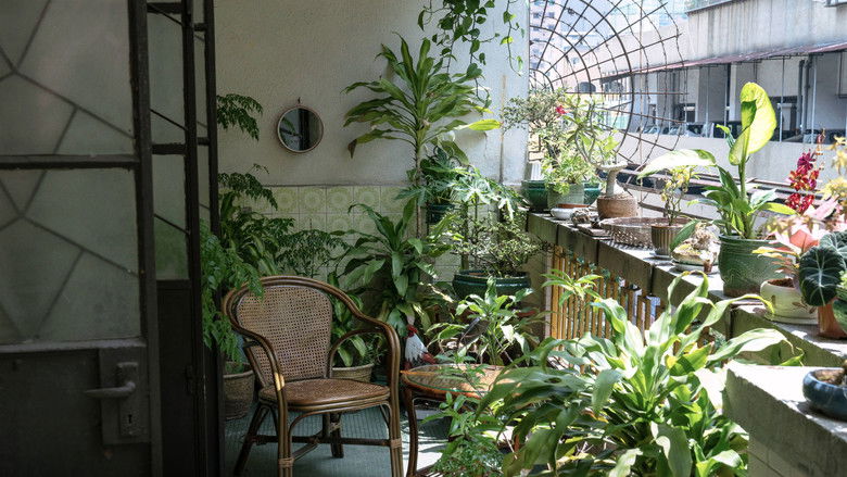 кадр из фильма 幸运阁