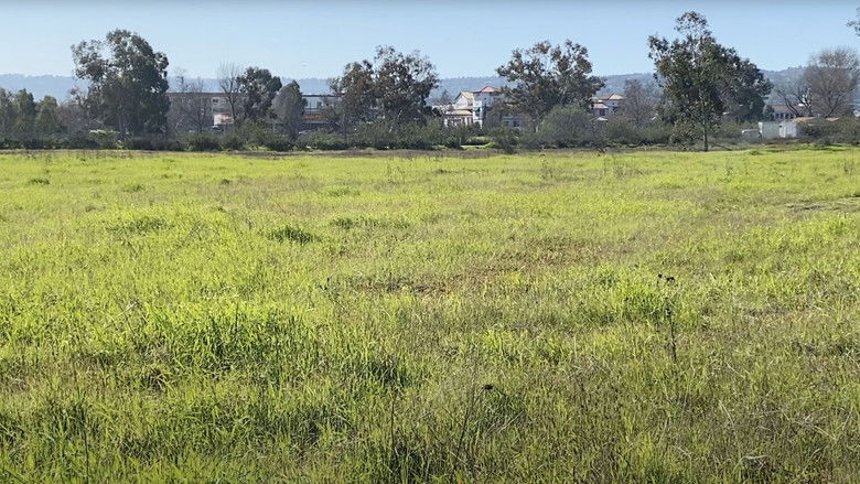 кадр из фильма Madrona Marsh