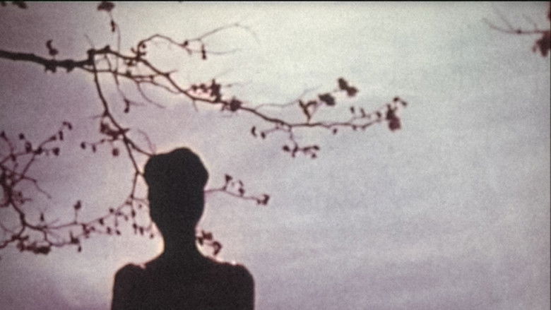 кадр из фильма Lysis