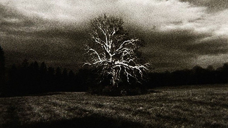 кадр из фильма Landscape (for Manon)