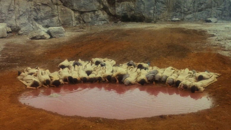 кадр из фильма Песчаная роза