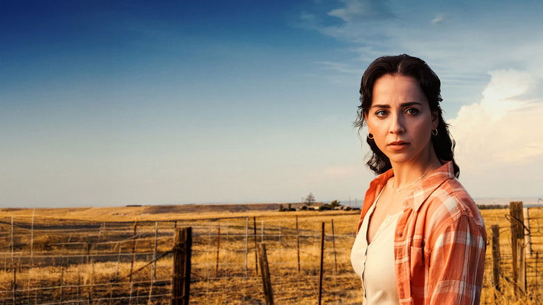 кадр из фильма An Unstable Marriage