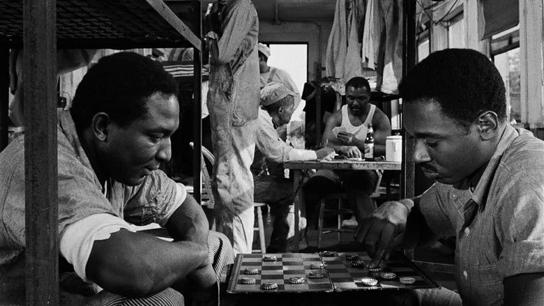 кадр из фильма Nothing But a Man